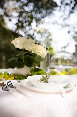 포토 JPG 주간 그릇 식기 접시 꽃 결혼 포크 탁자 결혼식 사람없음 야외 아웃포커스 꽃병 결혼소품 체코 국내포토 자연요소 식물 유럽 가구 촬영기법 이벤트 오브젝트 파일형식