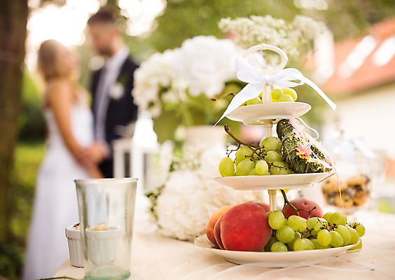 포토 JPG 주간 외국인 백인 접시 부부 커플 여자 남자 결혼 과일 탁자 결혼식 잔 서기 상반신 20대 성인 야외 두명 옆모습 아웃포커스 체코 성인만 국내포토 자연요소 서양인 식기 유럽 뷰포인트 가구 관계 모션 촬영기법 사람 인종 이벤트 청년 파일형식