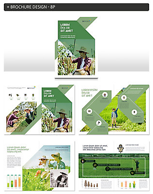 템플릿 남자 ZIP 논 팜플렛 여러명 20대 성인 농사 한국인 농부 귀농 성인남자만 인디자인 INDD 청년농부 이미지템플릿 직업 다수 농업 사람 동양인 청년 남자만 성인만 파일형식