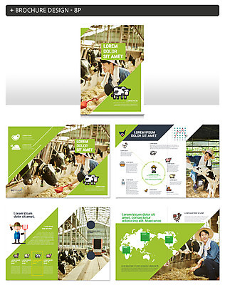 템플릿 남자 ZIP 세계지도 팜플렛 여러명 20대 성인 농장 가축 한국인 농부 축사 젖소 귀농 성인남자만 인디자인 INDD 청년농부 이미지템플릿 동물 직업 건축물 다수 지도 농업 사람 동양인 청년 세계 소 축산업 남자만 성인만 파일형식