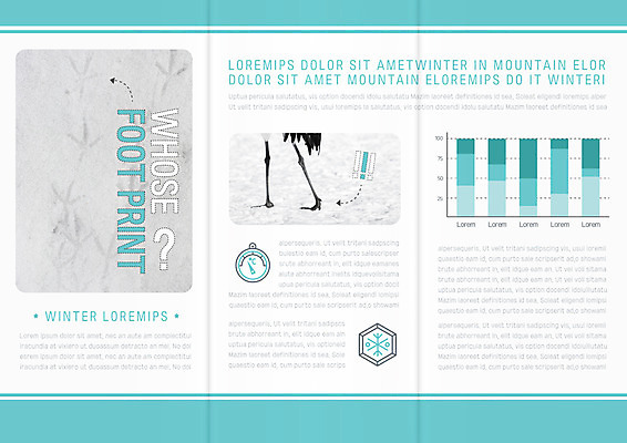 템플릿 표지디자인 북디자인 출판디자인 내지 리플렛 겨울 북커버 3단접지 자연 조류 그래프 팜플렛 사람없음 눈 새발자국 이미지템플릿 AI파일 자연요소 동물 계절 날씨 발자국 생태계 파일형식 벡터