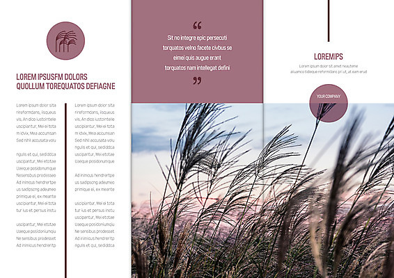 템플릿 표지디자인 북디자인 출판디자인 표지 리플렛 북커버 3단접지 자연 갈대 팜플렛 사람없음 가을 이미지템플릿 AI파일 식물 계절 생태계 파일형식 벡터