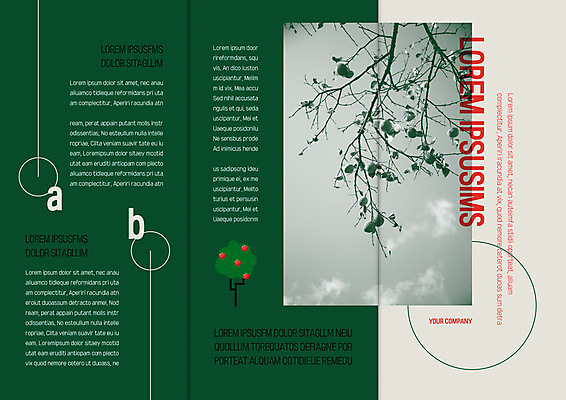 구름 템플릿 표지디자인 북디자인 출판디자인 열매 내지 리플렛 북커버 3단접지 자연 하늘 감 팜플렛 사람없음 가을 나뭇가지 감나무 이미지템플릿 AI파일 자연요소 나무 식물 계절 과일 생태계 파일형식 벡터