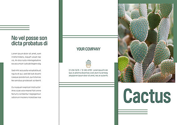 템플릿 표지디자인 북디자인 출판디자인 표지 리플렛 북커버 3단접지 자연 선인장 팜플렛 사람없음 이미지템플릿 AI파일 식물 생태계 파일형식 벡터