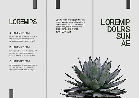 템플릿 표지디자인 북디자인 출판디자인 표지 리플렛 북커버 3단접지 자연 선인장 팜플렛 사람없음 이미지템플릿 AI파일 식물 생태계 파일형식 벡터