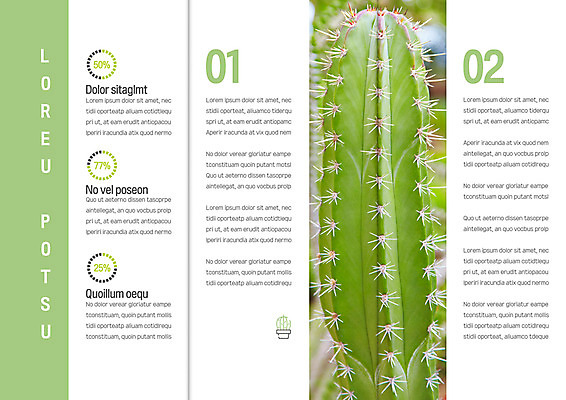 템플릿 표지디자인 북디자인 출판디자인 내지 리플렛 북커버 3단접지 자연 그래프 선인장 팜플렛 사람없음 선인장가시 이미지템플릿 AI파일 식물 생태계 파일형식 벡터