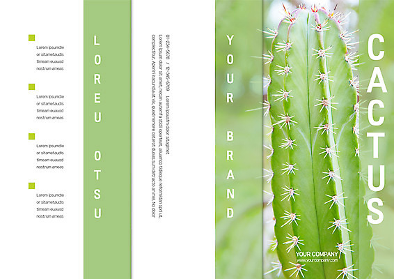 템플릿 표지디자인 북디자인 출판디자인 표지 리플렛 북커버 3단접지 자연 선인장 팜플렛 사람없음 선인장가시 이미지템플릿 AI파일 식물 생태계 파일형식 벡터