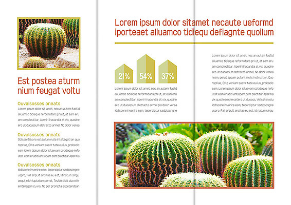 템플릿 표지디자인 북디자인 출판디자인 내지 리플렛 북커버 3단접지 자연 그래프 선인장 팜플렛 사람없음 이미지템플릿 AI파일 식물 생태계 파일형식 벡터