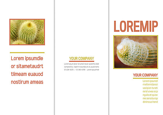 템플릿 표지디자인 북디자인 출판디자인 표지 리플렛 북커버 3단접지 자연 선인장 팜플렛 사람없음 이미지템플릿 AI파일 식물 생태계 파일형식 벡터