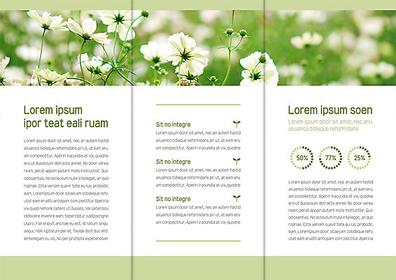 템플릿 표지디자인 북디자인 출판디자인 내지 리플렛 북커버 3단접지 자연 그래프 팜플렛 사람없음 가을 코스모스 이미지템플릿 AI파일 계절 꽃 생태계 파일형식 벡터