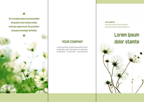 템플릿 표지디자인 북디자인 출판디자인 표지 리플렛 북커버 3단접지 자연 팜플렛 사람없음 가을 코스모스 이미지템플릿 AI파일 계절 꽃 생태계 파일형식 벡터