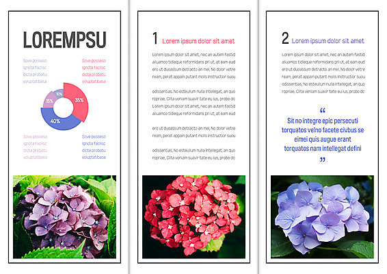 템플릿 표지디자인 북디자인 출판디자인 내지 리플렛 북커버 3단접지 자연 그래프 팜플렛 사람없음 수국 이미지템플릿 AI파일 꽃 생태계 파일형식 벡터