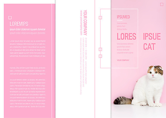 템플릿 한마리 표지디자인 북디자인 출판디자인 표지 리플렛 북커버 3단접지 팜플렛 사람없음 반려동물 고양이 반려 이미지템플릿 AI파일 동물 1 포유류 파일형식 벡터