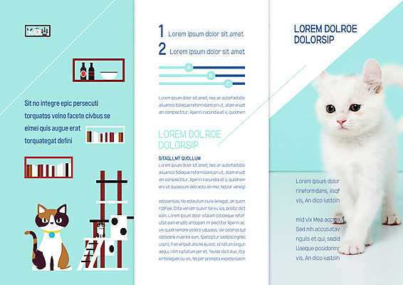 템플릿 표지디자인 북디자인 출판디자인 내지 리플렛 북커버 3단접지 선반 세마리 팜플렛 사람없음 반려동물 고양이 반려 캣타워 애묘용품 이미지템플릿 반려용품 AI파일 동물 가구 포유류 3 오브젝트 파일형식 벡터