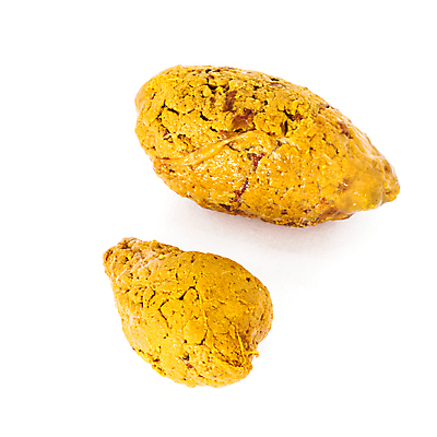 포토 JPG 해외이미지 백그라운드 사람없음 갈색 노란색 흰색 닫기 개 지저분함 오브젝트 냄새 슛 고립 해외202004 해외포토 컬러 포유류 모션 감각 파일형식 이미지허브