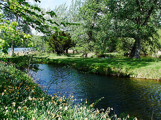 포토 JPG 해외이미지 나무 식물 계절 공원 여행 백그라운드 잎 자연 벽지 이끼 풍경 사람없음 야외 목재 초록색 물 여름 강 컬러풀 평화 환경 봄 폭포 젖음 흐름 신선 개울 떨어짐 숲 강가 즐거움 장면 내추럴 그리너리 해외202004 해외포토 자연요소 공공시설 감정 컬러 컨셉 재료 생태계 파일형식 트랜드컬러 이미지허브