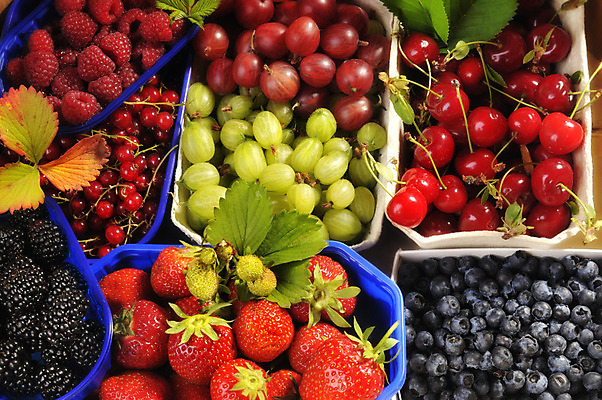 포토 JPG 해외이미지 음식 다이어트 과일 딸기 사람없음 컬러풀 정원 신선 체리 시장 달콤 먹기 블루베리 산딸기 블랙베리 구스베리 채식주의자 해외202004 해외포토 열매 컬러 모션 건강 맛 채식 파일형식 이미지허브