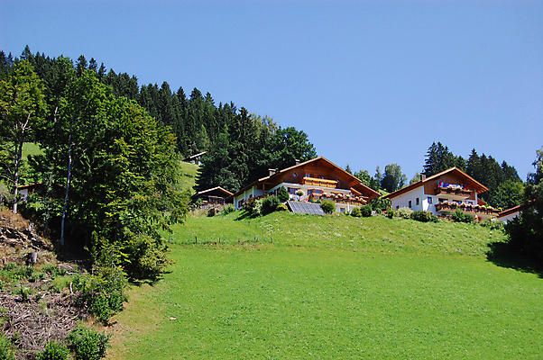 포토 JPG 해외이미지 자연 주택 사람없음 목재 초록색 맑음 오스트리아 알프스 해외202004 해외포토 나무 유럽 컬러 재료 날씨 건물 생태계 파일형식 이미지허브