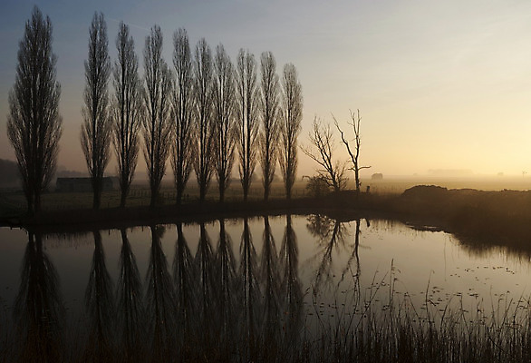 포토 JPG 해외이미지 나무 구름 자연 하늘 풍경 사람없음 물 반사 침묵 일몰 새벽 풍차 저녁 줄서기 해외202004 해외포토 자연요소 식물 모션 노을 소리 야간 생태계 파일형식 이미지허브