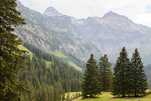 포토 JPG 해외이미지 나무 구름 응시 유럽 호수 스포츠 여행 밭 자연 하늘 휴가 산 사람 풍경 사람없음 야외 목재 초록색 물 여름 반사 식당 계곡 하이킹 고급 숲 오솔길 스위스 언덕 알프스 내추럴 절정 해외202004 해외포토 자연요소 식물 시선 계절 나라 길 컬러 컨셉 농업 재료 레저 상점 생태계 파일형식 이미지허브