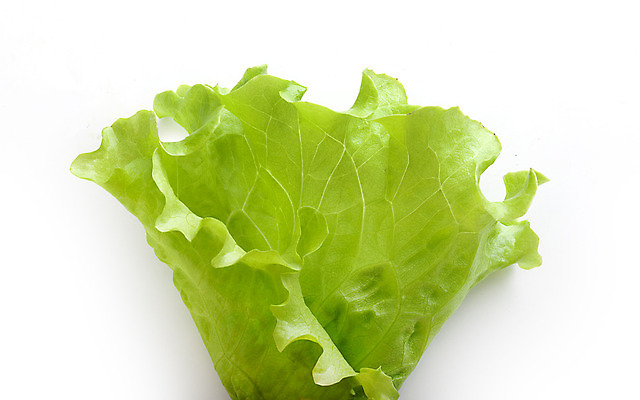 포토 JPG 해외이미지 클리핑패스 채소 요리 사람없음 초록색 신선 상추 고립 떠남 접기 조감도 해외202004 해외포토 컬러 모션 파일형식 이미지허브