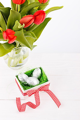 포토 JPG 해외이미지 꽃잎 꽃 리본 분홍색 꽃다발 결혼 백그라운드 잎 꽃무늬 자연 유리 탁자 부활절 선물 사람없음 목재 빨간색 초록색 상자 우주 꽃병 봄 튤립 벚꽃 흰색 시골 축하 신선 다발 은박지 카피스페이스 해외202004 해외포토 나무 식물 계절 기념일 컬러 가구 컨셉 무늬 재료 재질 이벤트 공백 생태계 파일형식 이미지허브