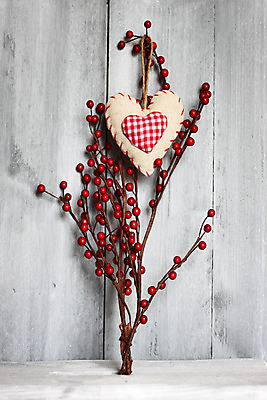 포토 JPG 해외이미지 모양 나무 계절 열매 리본 줄 백그라운드 휴가 발렌타인데이 선물 사랑 사람없음 목재 장식 빨간색 갈색 회색 하트 시골 직물 코드 심볼 오브젝트 질감 내추럴 해외202004 해외포토 식물 감정 컬러 재료 데이이벤트 파일형식 이미지허브