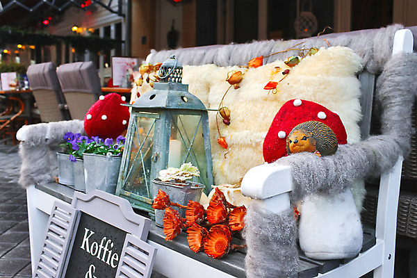 포토 JPG 해외이미지 꽃 유럽 도로 가구 벤치 의자 유리 탁자 호텔 거리 주택 기념 사람없음 야외 목재 장식 파티 여행객 요식업 식당 꽃병 식사 저녁식사 카페 가을 등불 축하 도시 화려 고급 우아함 먹기 양동이 서비스 네덜란드 설정 고슴도치 점심식사 옛날 해외202004 해외포토 나무 식물 계절 나라 산업 길 생활용품 컨셉 재료 포유류 교통시설 모션 재질 숙소 조명 사람 이벤트 건물 상점 파일형식 이미지허브