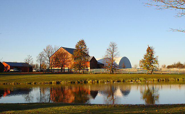 포토 JPG 해외이미지 나무 계절 잎 하늘 풍경 사람없음 빛 울타리 평화 가을 연못 사일로 해외202004 해외포토 식물 컨셉 담장 파일형식 이미지허브