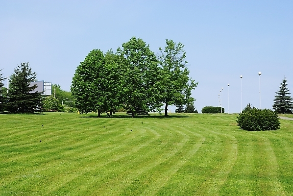 포토 JPG 해외이미지 나무 계절 공원 꽃 도로 길 자연 하늘 날씨 휴식 건강 풍경 사람없음 야외 목재 여름 파란색 태양 갈색 침묵 봄 숲 순수 즐거움 장면 전나무 생태학 해외202004 해외포토 자연요소 식물 공공시설 교육 감정 컬러 컨셉 재료 교통시설 소리 생태계 파일형식 이미지허브