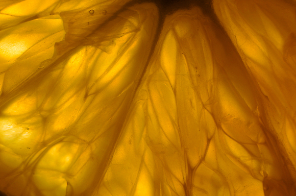 포토 JPG 해외이미지 음료 음식 조각 백그라운드 다이어트 채소 오렌지 과일 재료 부분 자연 디저트 귤 건강 그림자 사람없음 갈색 검은색 주스 수확 흰색 신선 그룹 달콤 맛 자르기 먹기 유기농 질감 내추럴 고립 숙성 이국적 채식주의자 해외202004 해외포토 웰빙 컬러 컨셉 농업 모션 생태계 채식 파일형식 이미지허브