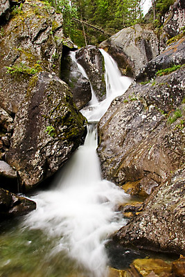 포토 JPG 해외이미지 나무 야생동물 여행 백그라운드 자연 벽지 산 풍경 사람없음 야외 물 여름 강 여행객 평화 맑음 폭포 젖음 흐름 자유 바위 개울 황무지 떨어짐 정상 숲 위험 고도 무료 삼림지대 해외202004 해외포토 자연요소 식물 동물 계절 컨셉 날씨 사람 돌_바위 생태계 파일형식 이미지허브