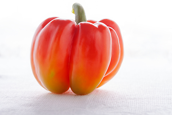 포토 JPG 해외이미지 스튜디오촬영 클리핑패스 음식 줄기 다이어트 채소 파프리카 건강 그림자 사람없음 빨간색 초록색 신선 흰배경 건강식 고립 채식주의자 해외202004 해외포토 식물 컬러 백그라운드 실내 흰색 채식 파일형식 이미지허브