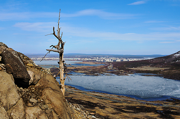 포토 JPG 해외이미지 나무 식물 호수 자연 하늘 건조 경사 사람없음 목재 환경 죽음 도시 숲 언덕 부식 가뭄 생태학 옛날 수평선 해외202004 해외포토 교육 재료 날씨 생태계 파일형식 이미지허브