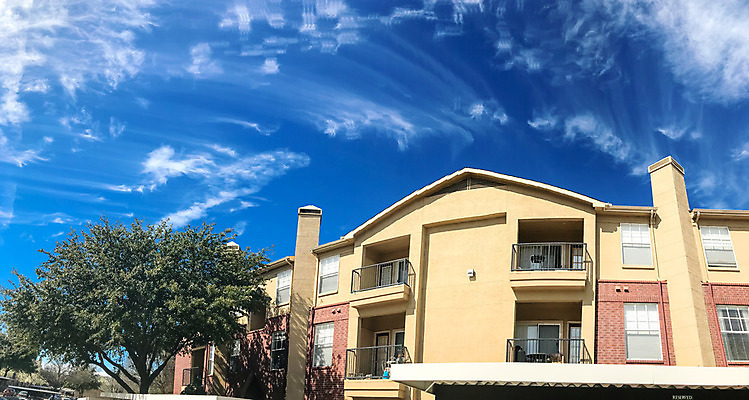 포토 JPG 해외이미지 나무 외관 건축양식 교통시설 자동차 벽돌 아파트 주택 사람없음 야외 건물 초록색 정원 미국 봄 발코니 도시 개화 재산 플랫 주차 가득함 지역 연립주택 리빙 이웃 제비 개발 교외 복잡 줄서기 진짜 차고 텍사스 해외202004 해외포토 식물 건축물 계절 건축 꽃 육상교통 컬러 교통 컨셉 북아메리카 모션 조류 금융 시설 파일형식 이미지허브