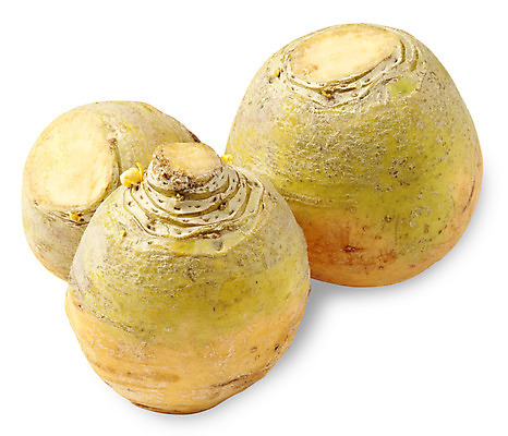 포토 JPG 해외이미지 음식 채소 건강 사람없음 농작물 노란색 흰색 신선 시장 오브젝트 싱글 유기농 날것 뿌리 섬유 내추럴 고립 숙성 해외202004 해외포토 웰빙 컬러 농업 직물 파일형식 이미지허브