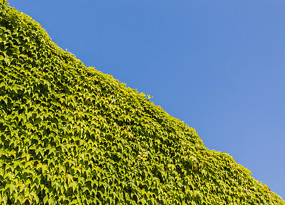포토 JPG 해외이미지 식물 구름 계절 백그라운드 농업 자연 벽지 하늘 날씨 풍경 사람없음 야외 초록색 여름 파란색 컬러풀 햇빛 태양 우주 환경 맑음 봄 시골 신선 땅 장면 지역 내추럴 무료 파라다이스 평야 수평선 해외202004 해외포토 자연요소 산업 컬러 생태계 파일형식 이미지허브