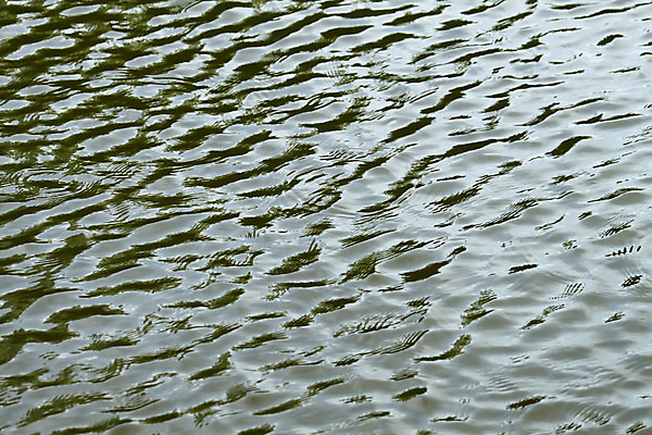 포토 JPG 해외이미지 호수 물결 파도 바다 백그라운드 이동 자연 표면 추상 불꽃 사람없음 초록색 물 강 반사 습기 젖음 촉촉함 흐름 가을 저수지 신선 액체 개울 수분 질감 내추럴 잔물결 현재 해외202004 해외포토 자연요소 계절 컬러 컨셉 무늬 불 생태계 파일형식 이미지허브