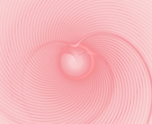 포토 JPG 해외이미지 모양 디자인 선 분홍색 백그라운드 이동 2 패턴 갈매기 추상 휴식 사람없음 장식 빨간색 빛 장미 우주 소용돌이 원형 투명 정상 매끈함 그늘 가득함 심볼 역동적 심플 질서 넘어짐 대칭 슬라이드 엘리먼트 파스텔톤 평야 많음 카피스페이스 해외202004 해외포토 도형 꽃 컬러 컨셉 무늬 모션 자연 조류 공백 회오리 예절 감각 파일형식 이미지허브