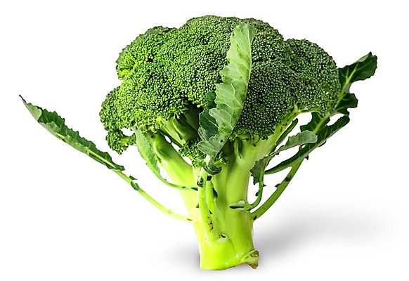 포토 JPG 해외이미지 음식 줄기 농업 다이어트 채소 재료 자연 건강 요리 사람없음 초록색 농작물 정원 저녁식사 활발 샐러드 흰색 나뭇가지 신선 시장 브로콜리 먹기 오브젝트 유기농 날것 칼로리 내추럴 고립 숙성 채식주의자 해외202004 해외포토 나무 식물 웰빙 산업 컬러 컨셉 모션 식사 생태계 채식 파일형식 이미지허브