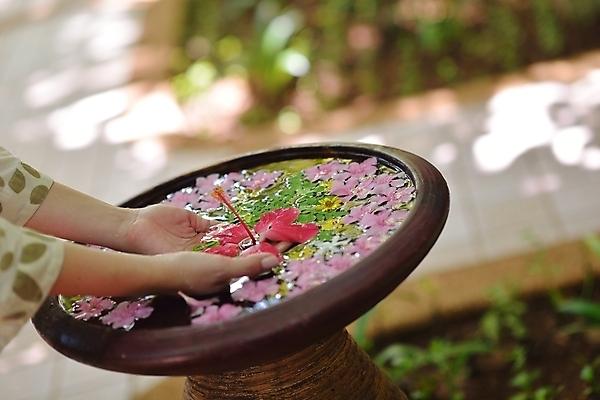 포토 JPG 해외이미지 손 꽃 야외 신체부위 물 햇빛 스파 화단 손모으기 대야 해외포토 자연요소 식물 사람 손짓 태양 파일형식 이미지허브