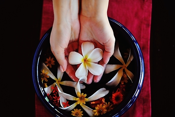 포토 JPG 해외이미지 손 꽃 들기 신체부위 물 수건 스파 손모으기 대야 해외포토 자연요소 식물 모션 사람 손짓 위생용품 파일형식 이미지허브