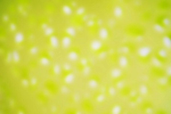 포토 JPG 해외이미지 식물 디자인 꽃 화분 분홍색 백그라운드 패턴 휴식 새로움 사람없음 장식 초록색 우주 정원 꽃병 흰색 도자기 시장 냄비 컨테이너 수집 원예 질감 부드러움 점토 고립 백자 블러 철강 해외202004 해외포토 산업 컬러 컨셉 무늬 취미 감각 솥 파일형식 이미지허브