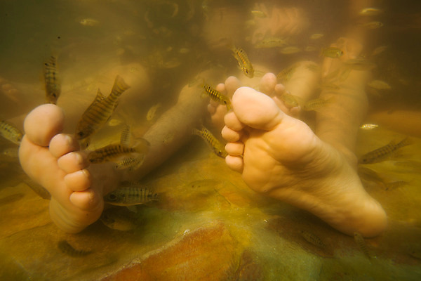 포토 JPG 해외이미지 라이프스타일 여자 컨셉 휴식 건강 어류 안전 사람 사람없음 치료 초록색 물 파란색 약 건강관리 상점 스파 흰색 마사지 입 손톱관리 손톱 먹기 피부 피부관리 수족관 테라피 돌봄 양발 위생관리 페디큐어 해외202004 해외포토 자연요소 손 컬러 의학 모션 관리 생활 신체부위 뷰티 수중동물 네일아트 파일형식 이미지허브