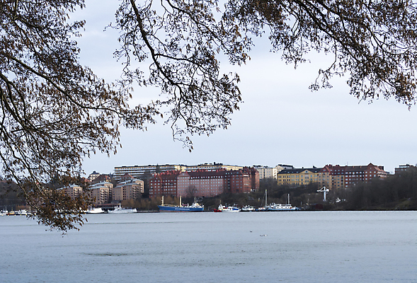 포토 JPG 해외이미지 나무 호수 섬 건축양식 풍경 사람없음 건물 물 봄 도시 남쪽 기간 스톡홀름 해외202004 해외포토 자연요소 식물 건축물 계절 건축 방향 파일형식 이미지허브