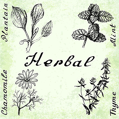 포토 JPG 해외이미지 식물 손 디자인 꽃 음료 꽃다발 백그라운드 잎 꽃무늬 패턴 일러스트 자연 건강 미술 사람없음 세트 약 정원 검은색 수확 벚꽃 약초 스케치 민트 허브 향신료 그림 유기농 아로마테라피 내추럴 백리향 채식주의자 추출 캐모마일 해외202004 해외일러스트 웰빙 컬러 무늬 농업 의학 문화예술 신체부위 풀_식물 생태계 채식 테라피 향미료 파일형식 이미지허브