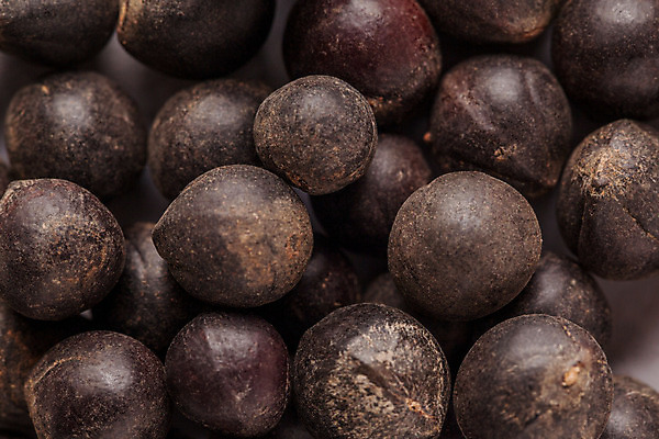 포토 JPG 해외이미지 건조 씨앗 사람없음 약 약초 수집 허브 비누 내추럴 치료제 해외202004 해외포토 식물 의학 위생용품 풀_식물 파일형식 이미지허브