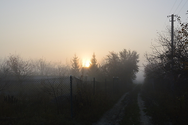 포토 JPG 해외이미지 나무 계절 실루엣 여행 백그라운드 자연 하늘 아침 산 풍경 사람없음 야외 목재 여름 마을 봄 산책 안개 시골 숲 언덕 해외202004 해외포토 주간 식물 재료 날씨 휴식 촬영기법 생태계 파일형식 이미지허브