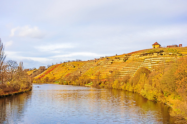 포토 JPG 해외이미지 도로 잎 농업 자연 하늘 풍경 사람없음 물 파란색 강 컬러풀 갈색 노란색 와인 활발 수확 가을 황금 언덕 포도밭 양조장 해외202004 해외포토 자연요소 식물 계절 산업 길 컬러 컨셉 밭 교통시설 주류 생태계 파일형식 이미지허브