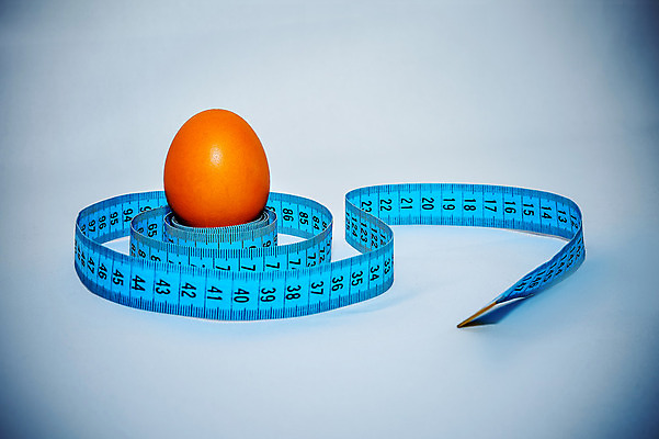 포토 JPG 해외이미지 음식 백그라운드 컨셉 다이어트 재료 자연 건강 요리 사람 사람없음 파란색 갈색 노란색 주방 계란 식사 치킨 껍질 흰색 신선 아침식사 몸무게 먹기 날씬함 측정 오브젝트 싱글 유기농 질감 날것 테이프 칼로리 노른자 내추럴 고립 단백질 돌봄 삶기 적자 제어 칼슘 해외202004 해외포토 웰빙 컬러 모션 문구용품 알 몸매 생태계 닭고기요리 영양소 파일형식 이미지허브